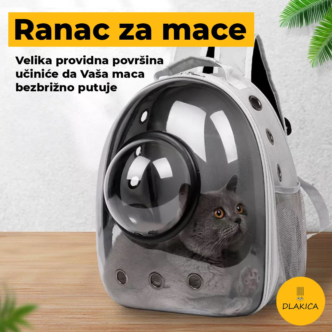 Dlakica Ranac za mačke
