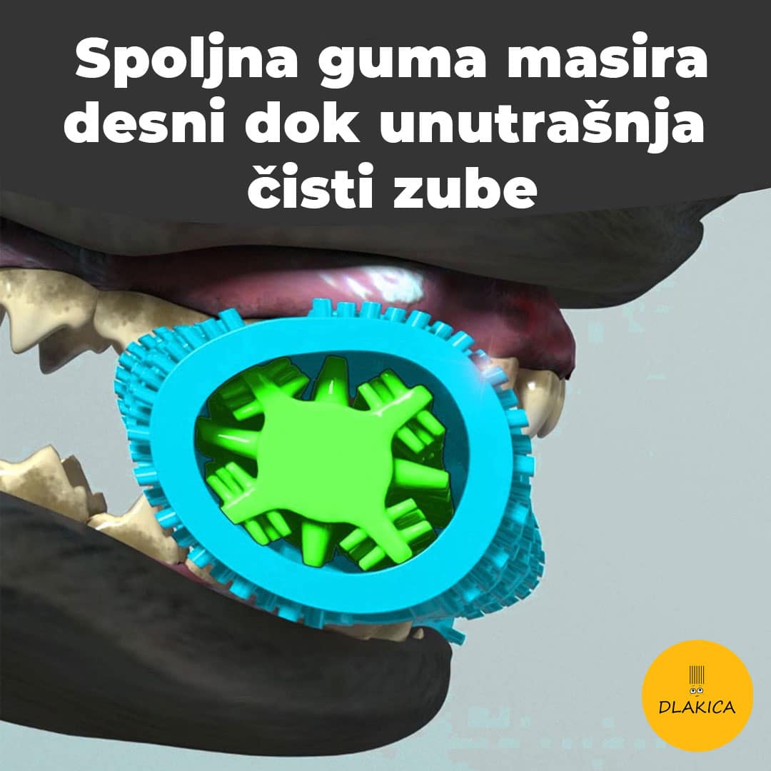 DlakicaČetkica koska za pse