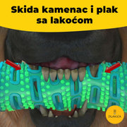 DlakicaČetkica koska za pse